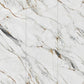 Sintered Stone 800x2600x9mm Gloss-Fish Maw Gold