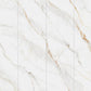 Sintered Stone 800x2600x9mm Gloss-Golden Silk White