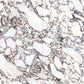 Sintered Stone 800x2600x9mm Gloss-Crystal Bulgari